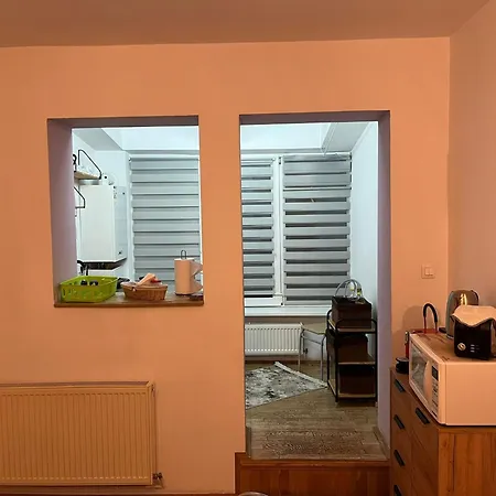 Vintage Old Center Alma Apartment *